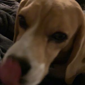 Meet your Posher, April